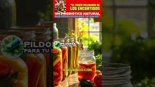 Beneficios de los vegetales fermentados: ¡Descubre sus secretos!