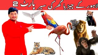 Lahore zoo visit part 2 |  Visit to Lahore Zoo | Discover zoo by Afzalahmad official