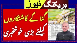 Today Wheat price in punjab/گنا کا ریٹ 2024/munji makki till sarso | sugar mills Announcement