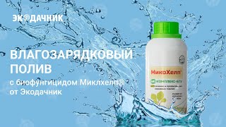 Влагозарядковый полив. Советы от Марины Рыкалиной