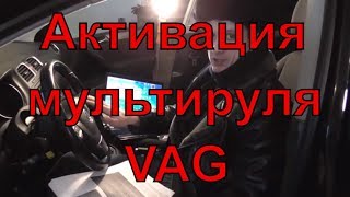 Активация мультируля VAG