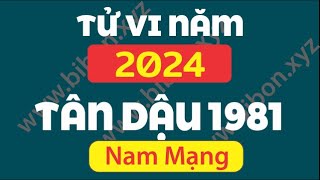 TỬ VI TUỔI TÂN DẬU 1981 năm 2024 - Nam Mạng