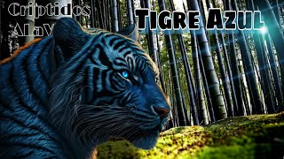 Tigre Maltés | TIGRE AZUL | VÍDEO REMAKE |#Bestiario Vol.20 | CRIPTOZOOLOGÍA | Criptidos A La Vista