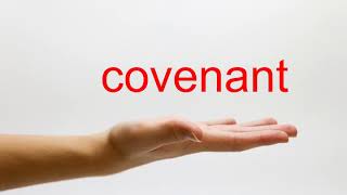 How to Pronounce covenant - American English