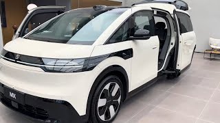 All New 2025 Geely ZEEKR MIX EV MPV Review & Walkaround