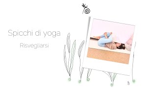 Spicchi di yoga • risvegliarsi