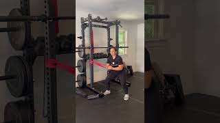 Band Quarter Squat Paloff Press