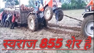 स्वराज 855 शेर है आयशर भी कम नही। #Swaraj855 #tractor