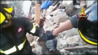 Cat rescued 16 days after Italy quake