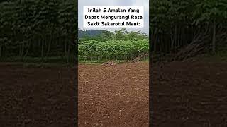 Inilah 5 Amalan Yang Dapat Mengurangi Rasa Sakit Sakarotul Maut: