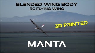 Manta 3.0 Maiden - A 3D Printed BWB / LFC Flying Wing