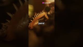 Centipedes  The Ancient Venomous Predator!! 😲😱 🐛 #shorts #facts #funny #centipede