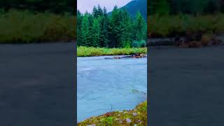 Pakistan Most Beautiful Swat Valley 🇵🇰❤️✨| Beautiful Swat | #youtubeshorts | AkTheLion Vlogs