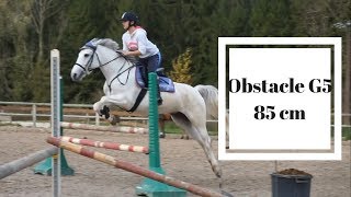 Obstacle G5 : sauts isolés 85 cm