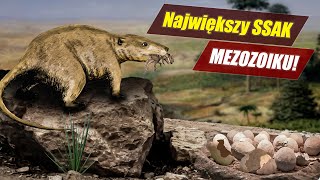 SSAK polujący na DINOZAURY!