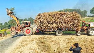 JCB Type Belarus tractor Amazing Stant At Rump Road/#tractor #trending