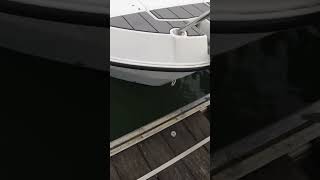 boat damaged #shorts #marina