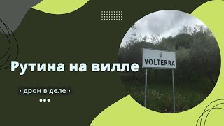 Домашний влог/Нами заинтересовалась итальянская полиция?!