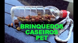 Dica Pet -  FAÇA BRINQUEDOS CASEIROS