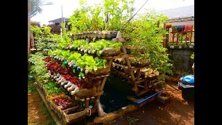 Great Home Grown Food Gardening Tips | Home Grown Garden