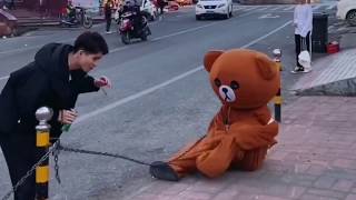 Funny Brown Bear Tik Tok P4 | Tik Tok China | Chinese Ladies