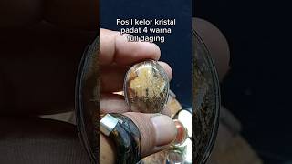 galih kelor kristal 4 warna #galihkelor #seni #artist #viral #gemstone #fosiles #gustiinovator