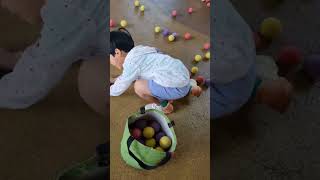 playing with balls, #kids #shortsfeed #shorts