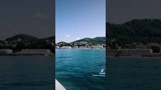 Сочи Лоо, отдых на море 🌊 Дельфины + Морская прогулка на яхте😎#папасын