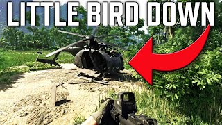 Little Bird Down Task Guide For Gray Zone Warfare