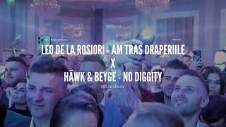 Leo de la Rosiori ❌ HÄWK & BEYGE - Am tras draperiile (Tech & House Remix) Prod.ElGordo