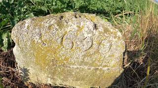 #5 Die Grenzen des Waldviertels (Röschitz, L49, Roseldorf - Libellenteich Steinbruch Limberg)