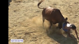 DENIA BOUS A LA MAR  TOROS EN DIRECTO 2024 POR TOROS TV GANADERIA LES COVES TOROS AL AGUA