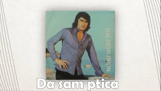 Dalibor Brun – Da sam ptica [1080p 60fps]