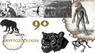 90# Kryptozoologia - Istota z Copiapo, Ngoima