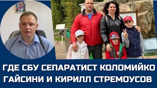 Почему Сепаратисты Коломийко Гайсин и Стремоусов на свободе?