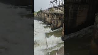 Hirakud Dam gate opening|  Syphon View| Fishing in Mahanadi| Wildgrass Entertainment| Shorts