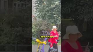 В Питере пытаются поймать лося, который навел суету в городе.