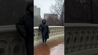 Bow Bridge, Central Park New York