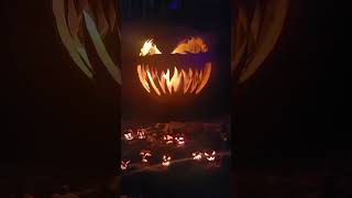 20 Foot Tall Jack O Lantern Pumpkin Breathing Fog with Real carved Pumpkins for Scale Haunted House