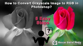 How to Convert Grayscale Image to RGB in Photoshop? | How-To Tutorial | Rescue Digital Media