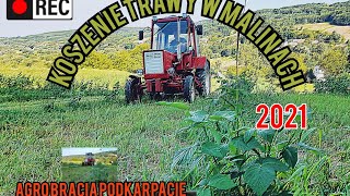 ➖Koszenie trawy w malinach🌱2021✔T25 władimirec w akcji ✅