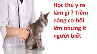 Học thú y ra làm gì ? Tiềm năng cơ hội lớn nhưng ít người biết