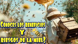 ¿Conoces los beneficios y riesgos de la miel?