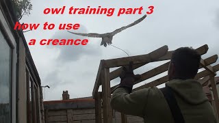 how to use a creance owl training part 3