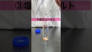 溶液の中で花が咲く？！ケミカルガーデンの実験　#実験　#学校　#化学実験