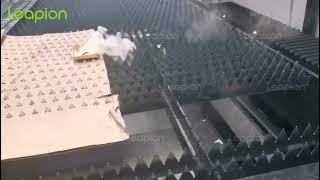 Demonstration of Leapion fiber laser cutting machine partition dust removal and smoke exhaust system