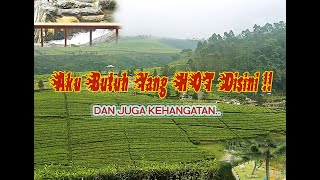 Wisata Populer :  KebunTeh Kaligua Dan Mata Air " Tuk Bening " ( WISATA BREBES )