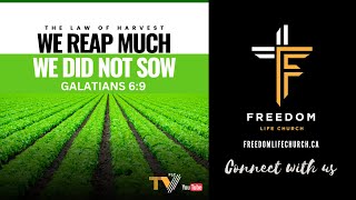 The Law Of Harvest | We Reap Much We Did Not Sow | Galatians 6:9 | Freedom Life Church