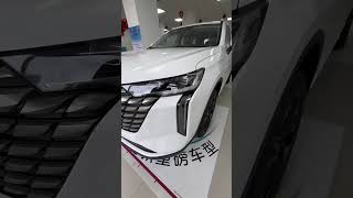 All New 2024 GreatWall Haval H6 Review & Walkaround