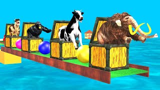 Choose The Right Box With Gorilla Cow Mammoth Elephant Dinosaur Wild Animal Obstacle Game